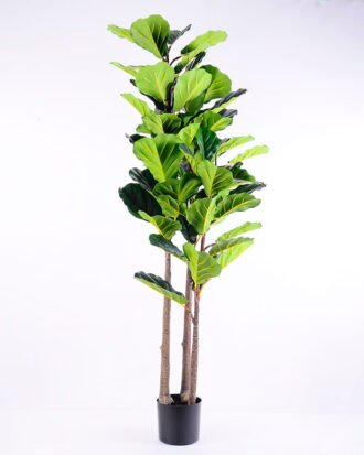 Artificial Tree 57*56*158CM Ficus in plastic pot/lvs64 GS-48520016