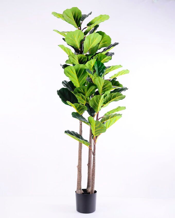 Artificial Tree 57*56*158CM Ficus in plastic pot/lvs64 GS-48520016 1 Artificial Tree 57*56*158CM Ficus in plastic pot/lvs64 GS-48520016