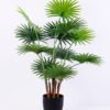 Artificial Tree 82*71*100CM Livistona chinensis in plastic pot/lvs11 GS-48520017 1 Artificial Tree 82*71*100CM Livistona chinensis in plastic pot/lvs11 GS-48520017