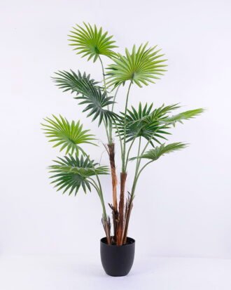 Artificial Tree 71*67*120CM Livistona chinensis in plastic pot/lvs12 GS-48520018 Tree&Plant YeahFlower is one of Chinese leading OEM manufacturers and exporters , supplying the silk flowers, wholesale artificial trees Artificial Tree 71*67*120CM Livistona chinensis in plastic pot/lvs12 GS-48520018