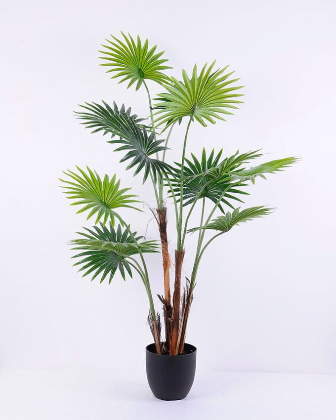 Artificial Tree 71*67*120CM Livistona chinensis in plastic pot/lvs12 GS-48520018