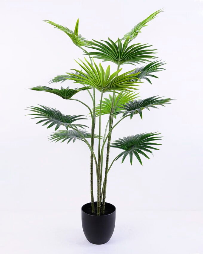 Artificial Tree 80*72*110CM Livistona chinensis in plastic pot/lvs12 GS-48520022 1 Artificial Tree 80*72*110CM Livistona chinensis in plastic pot/lvs12 GS-48520022