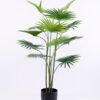 Artificial Tree 80*72*110CM Livistona chinensis in plastic pot/lvs12 GS-48520022 2 Artificial Tree 80*72*110CM Livistona chinensis in plastic pot/lvs12 GS-48520022