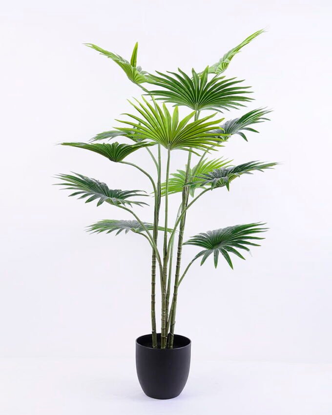 Artificial Tree 80*72*110CM Livistona chinensis in plastic pot/lvs12 GS-48520022 2 Artificial Tree 80*72*110CM Livistona chinensis in plastic pot/lvs12 GS-48520022