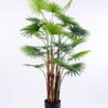 Artificial Tree 82*86*140CM Livistona chinensis in plastic pot/lvs24 GS-48520019 1 Artificial Tree 82*86*140CM Livistona chinensis in plastic pot/lvs24 GS-48520019