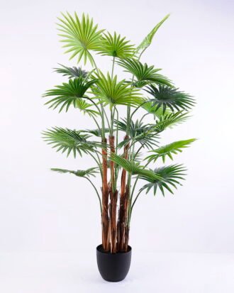 Artificial Tree 82*86*140CM Livistona chinensis in plastic pot/lvs24 GS-48520019 Tree&Plant YeahFlower is one of Chinese leading OEM manufacturers and exporters , supplying the silk flowers, wholesale artificial trees Artificial Tree 82*86*140CM Livistona chinensis in plastic pot/lvs24 GS-48520019