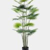 Artificial Tree 80*82*158CM Livistona chinensis in plastic pot/lvs27 GS-48520024 1 Artificial Tree 80*82*158CM Livistona chinensis in plastic pot/lvs27 GS-48520024