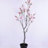 Artificial Tree 59*48*135CM Magnolia in plastic pot GS-15420005-W1 1 Artificial Tree 59*48*135CM Magnolia in plastic pot GS-15420005-W1