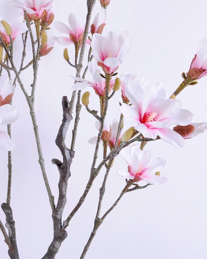 Artificial Tree 59*48*135CM Magnolia in plastic pot GS-15420005-W1 2 Artificial Tree 59*48*135CM Magnolia in plastic pot GS-15420005-W1