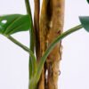 Artificial Tree 87*83*153CM Monstera tree GF-54619004P0P2