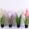 Artificial Tree 52*51*61CM Reeds in pot GS-45720004-Z1