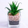Artificial succulent 6.5*6 Artificial succulent 6.5*6.7*10cm succulent plants in glass pot GS-51720006
