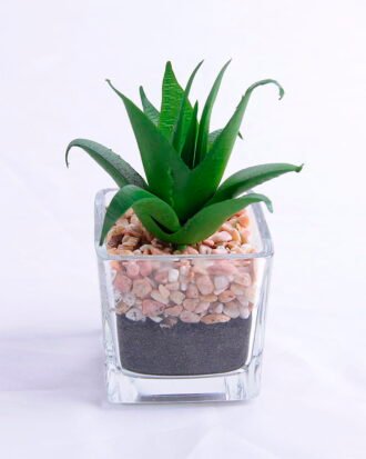 Artificial succulent 6.5*6.7*10cm succulent plants in glass pot GS-51720006 Succulent YeahFlower is one of Chinese leading OEM manufacturers and exporters , supplying the silk flowers, wholesale artificial trees Artificial succulent 6.5*6.7*10cm succulent plants in glass pot GS-51720006