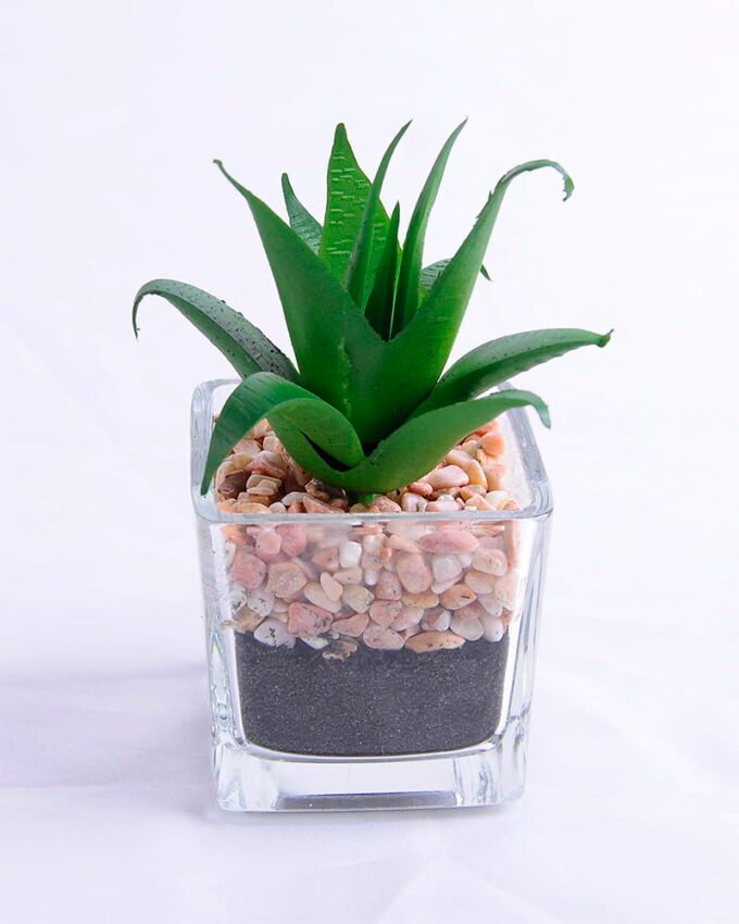 Artificial succulent 6.5*6 Artificial succulent 6.5*6.7*10cm succulent plants in glass pot GS-51720006