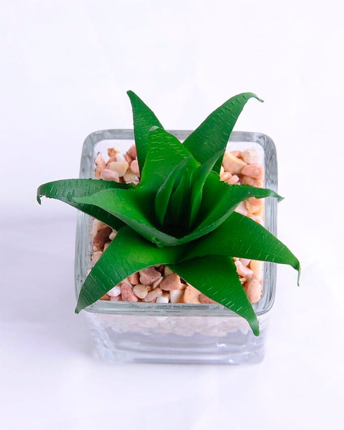 Artificial succulent 6.5*6 Artificial succulent 6.5*6.7*10cm succulent plants in glass pot GS-51720006