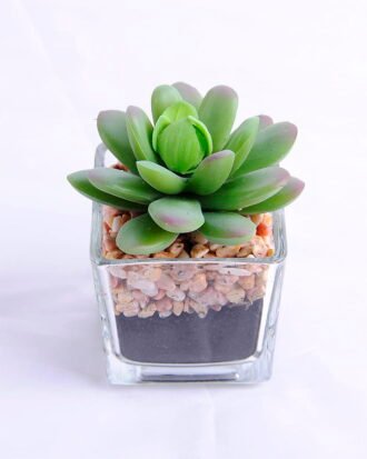 Artificial succulent 5.3*6.7*7.8cm succulent plants in glass pot GS-51720008 Succulent YeahFlower is one of Chinese leading OEM manufacturers and exporters , supplying the silk flowers, wholesale artificial trees Artificial succulent 5.3*6.7*7.8cm succulent plants in glass pot GS-51720008