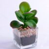 Artificial succulent 6.5*7*11cm succulent plants in glass pot GS-51720009