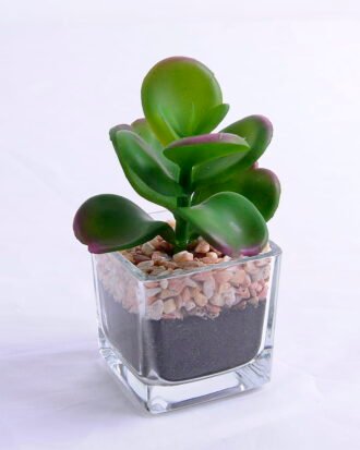 Artificial succulent 6.5*7*11cm succulent plants in glass pot GS-51720009 Succulent YeahFlower is one of Chinese leading OEM manufacturers and exporters , supplying the silk flowers, wholesale artificial trees Artificial succulent 6.5*7*11cm succulent plants in glass pot GS-51720009