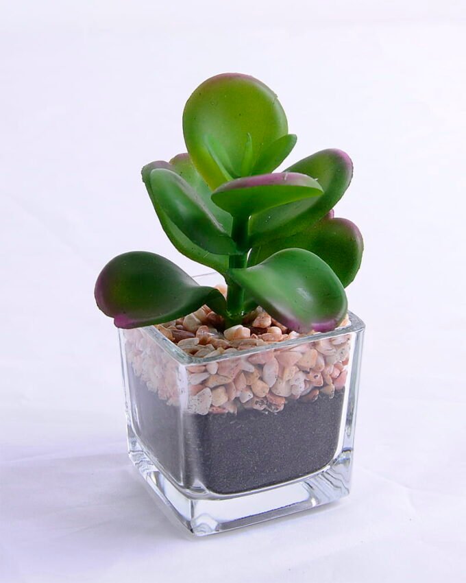 Artificial succulent 6.5*7*11cm succulent plants in glass pot GS-51720009