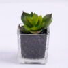 Artificial succulent 5.5*6*7.5cm succulent plants in glass pot GS-51720033