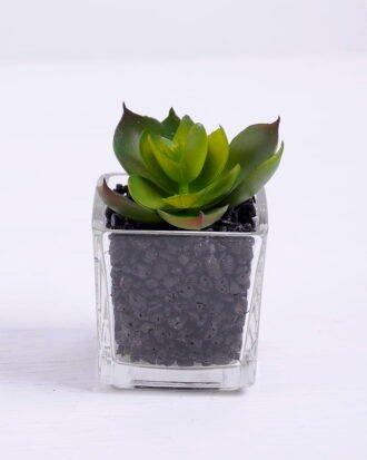 Artificial succulent 5.5*6*7.5cm succulent plants in glass pot GS-51720033 Succulent YeahFlower is one of Chinese leading OEM manufacturers and exporters , supplying the silk flowers, wholesale artificial trees Artificial succulent 5.5*6*7.5cm succulent plants in glass pot GS-51720033
