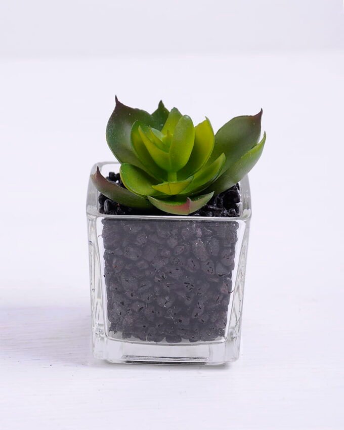 Artificial succulent 5.5*6*7.5cm succulent plants in glass pot GS-51720033