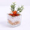 Artificial succulent 7*5*10.5cm succulent plants in glass pot GS-51720038