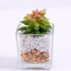 Artificial succulent 5*5*7.5cm succulent plants in glass pot GS-51720039