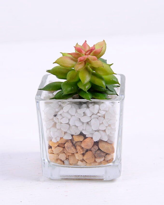 Artificial succulent 5*5*7.5cm succulent plants in glass pot GS-51720039