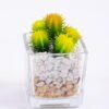 Artificial succulent 5*5*7 Artificial succulent 5*5*7.6cm succulent plants in glass pot GS-51720043