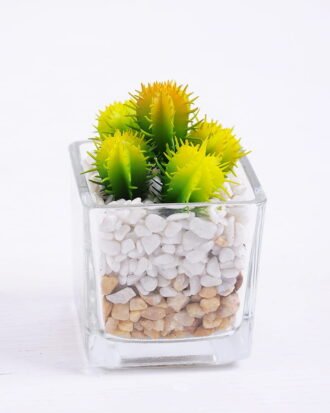 Artificial succulent 5*5*7.6cm succulent plants in glass pot GS-51720043 Succulent YeahFlower is one of Chinese leading OEM manufacturers and exporters , supplying the silk flowers, wholesale artificial trees Artificial succulent 5*5*7.6cm succulent plants in glass pot GS-51720043
