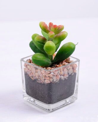 Artificial succulent 5*5.5*9.4cm succulent plants in glass pot GS-51720098 Succulent YeahFlower is one of Chinese leading OEM manufacturers and exporters , supplying the silk flowers, wholesale artificial trees Artificial succulent 5*5.5*9.4cm succulent plants in glass pot GS-51720098