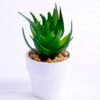 Artificial succulent 5 Artificial succulent 5.5*5*10cm succulent plants in paper pot GS-51720010