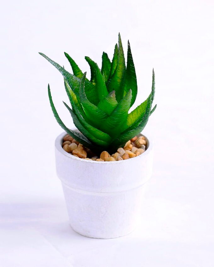 Artificial succulent 5 Artificial succulent 5.5*5*10cm succulent plants in paper pot GS-51720010