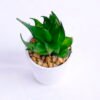 Artificial succulent 5 Artificial succulent 5.5*5*10cm succulent plants in paper pot GS-51720010