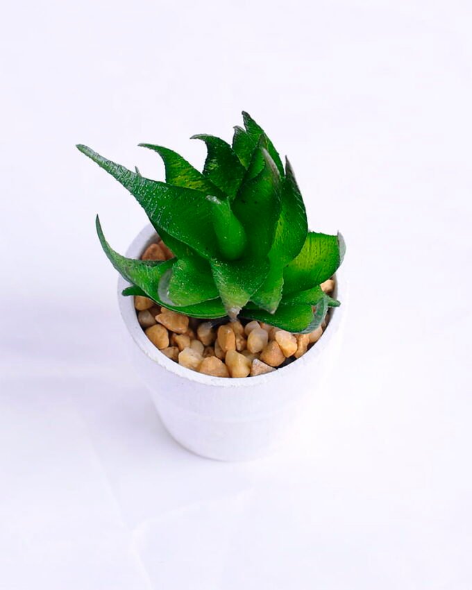 Artificial succulent 5 Artificial succulent 5.5*5*10cm succulent plants in paper pot GS-51720010
