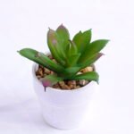 Artificial succulent 6*6*7cm succulent plants in paper pot GS-51720011