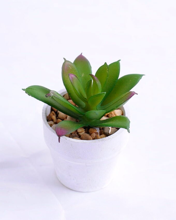 Artificial succulent 6*6*7cm succulent plants in paper pot GS-51720011 1 Artificial succulent 6*6*7cm succulent plants in paper pot GS-51720011