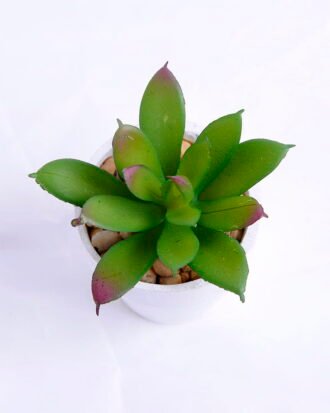 Artificial succulent 6*6*7cm succulent plants in paper pot GS-51720011 Succulent YeahFlower is one of Chinese leading OEM manufacturers and exporters , supplying the silk flowers, wholesale artificial trees Artificial succulent 6*6*7cm succulent plants in paper pot GS-51720011