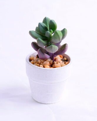 Artificial succulent 4.5*4.5*8cm succulent plants in paper pot GS-51720012 Succulent YeahFlower is one of Chinese leading OEM manufacturers and exporters , supplying the silk flowers, wholesale artificial trees Artificial succulent 4.5*4.5*8cm succulent plants in paper pot GS-51720012