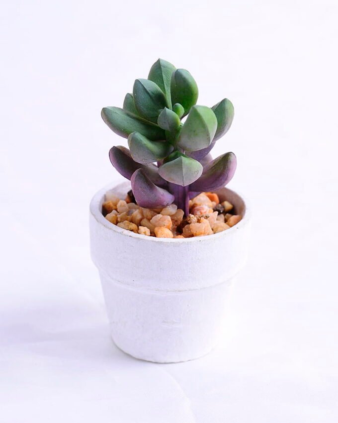 Artificial succulent 4.5*4 Artificial succulent 4.5*4.5*8cm succulent plants in paper pot GS-51720012