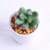 Artificial succulent 4.5*4 Artificial succulent 4.5*4.5*8cm succulent plants in paper pot GS-51720012