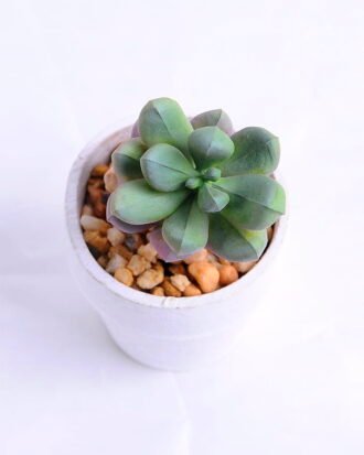 Artificial succulent 4.5*4.5*8cm succulent plants in paper pot GS-51720012 Succulent YeahFlower is one of Chinese leading OEM manufacturers and exporters , supplying the silk flowers, wholesale artificial trees Artificial succulent 4.5*4.5*8cm succulent plants in paper pot GS-51720012