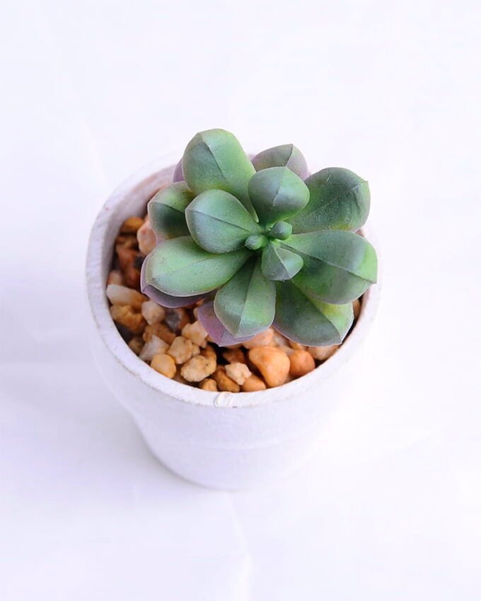 Artificial succulent 4.5*4 Artificial succulent 4.5*4.5*8cm succulent plants in paper pot GS-51720012