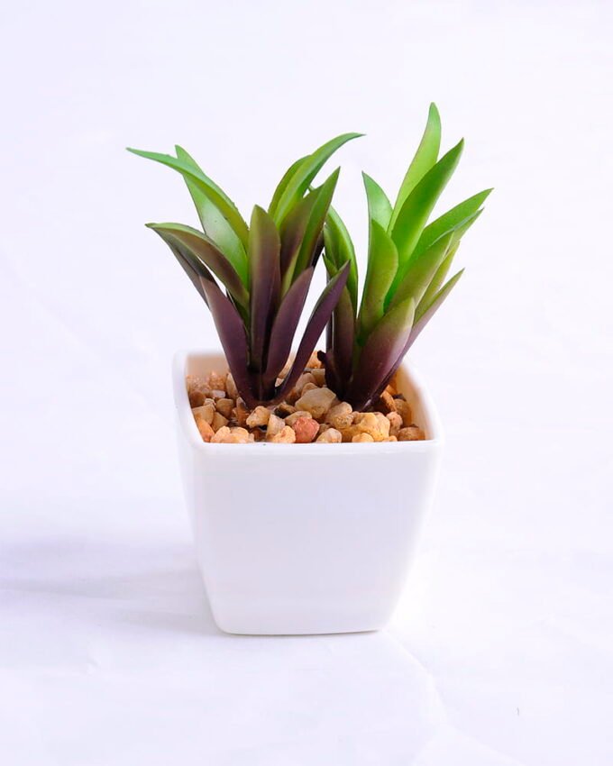 Artificial succulent 5*7*10cm succulent plants in plastic pot GS-51720001