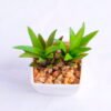 Artificial succulent 5*7*10cm succulent plants in plastic pot GS-51720001