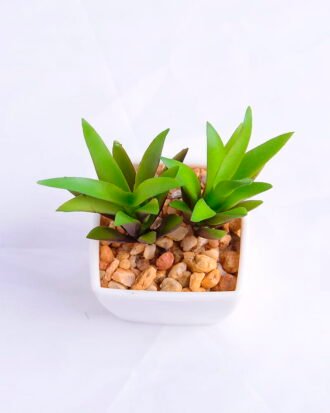 Artificial succulent 5*7*10cm succulent plants in plastic pot GS-51720001 Succulent YeahFlower is one of Chinese leading OEM manufacturers and exporters , supplying the silk flowers, wholesale artificial trees Artificial succulent 5*7*10cm succulent plants in plastic pot GS-51720001