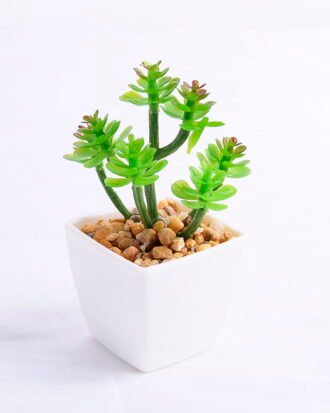 Artificial succulent 6.5*6.4*11cm succulent plants in plastic pot GS-51720002 Succulent YeahFlower is one of Chinese leading OEM manufacturers and exporters , supplying the silk flowers, wholesale artificial trees Artificial succulent 6.5*6.4*11cm succulent plants in plastic pot GS-51720002