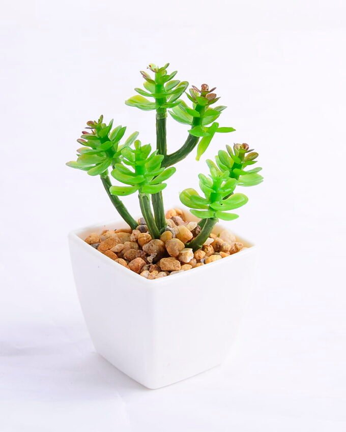 Artificial succulent 6.5*6 Artificial succulent 6.5*6.4*11cm succulent plants in plastic pot GS-51720002