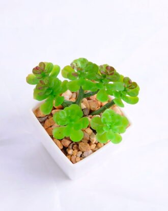 Artificial succulent 6.5*6.4*11cm succulent plants in plastic pot GS-51720002 Succulent YeahFlower is one of Chinese leading OEM manufacturers and exporters , supplying the silk flowers, wholesale artificial trees Artificial succulent 6.5*6.4*11cm succulent plants in plastic pot GS-51720002